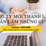 Thành lập công ty mới cần nộp những thuế gì?