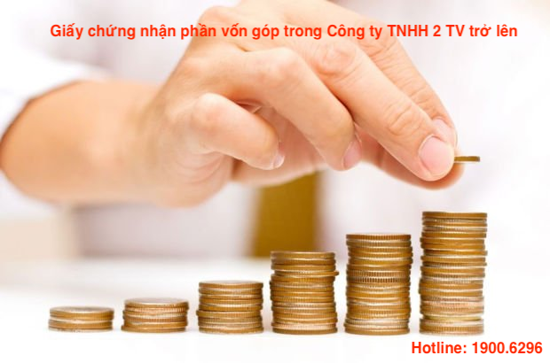 Giấy chứng nhận phần vốn góp trong Công ty TNHH 2 TV trở lên