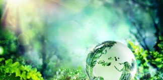 Thành lập công ty tư vấn thiết kế về môi trường