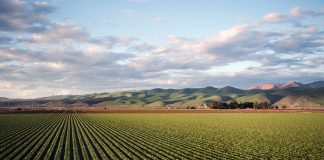 Thủ tục thành lập công ty sản xuất và kinh doanh phân bón